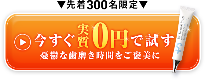 今すぐ実質0円で試す